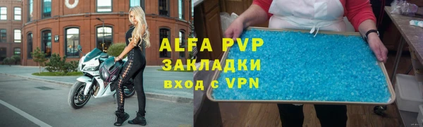 стафф Алексин