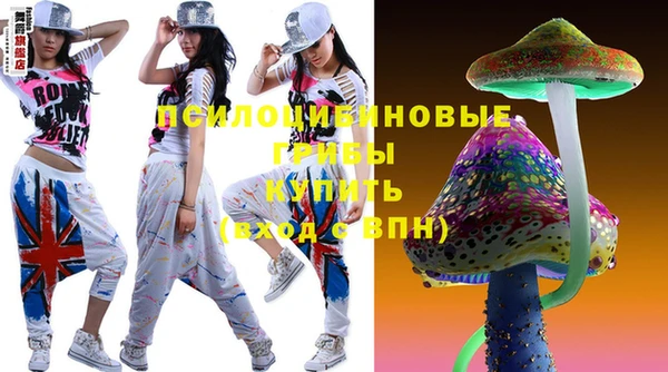 гашик Протвино